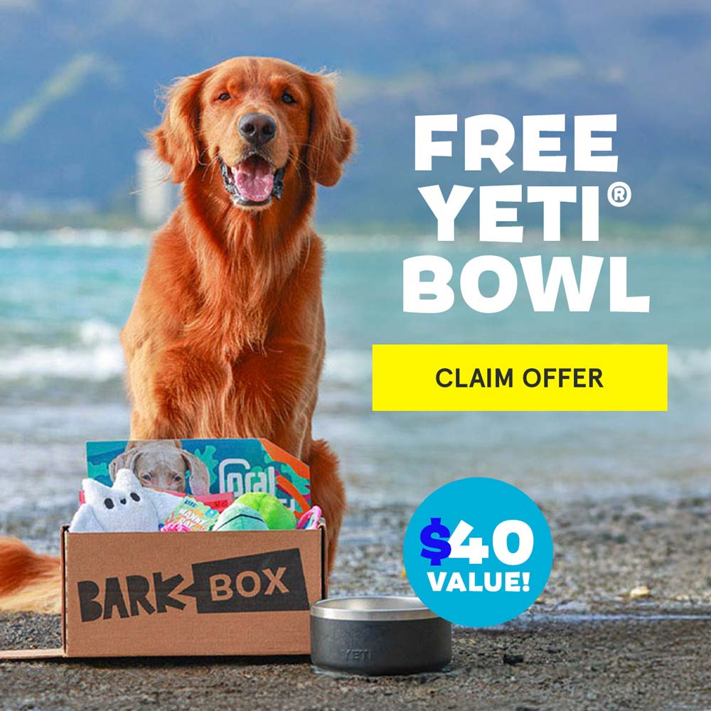BarkBox