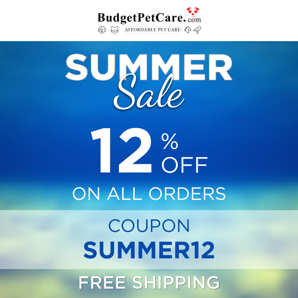 Budget Pet Care
