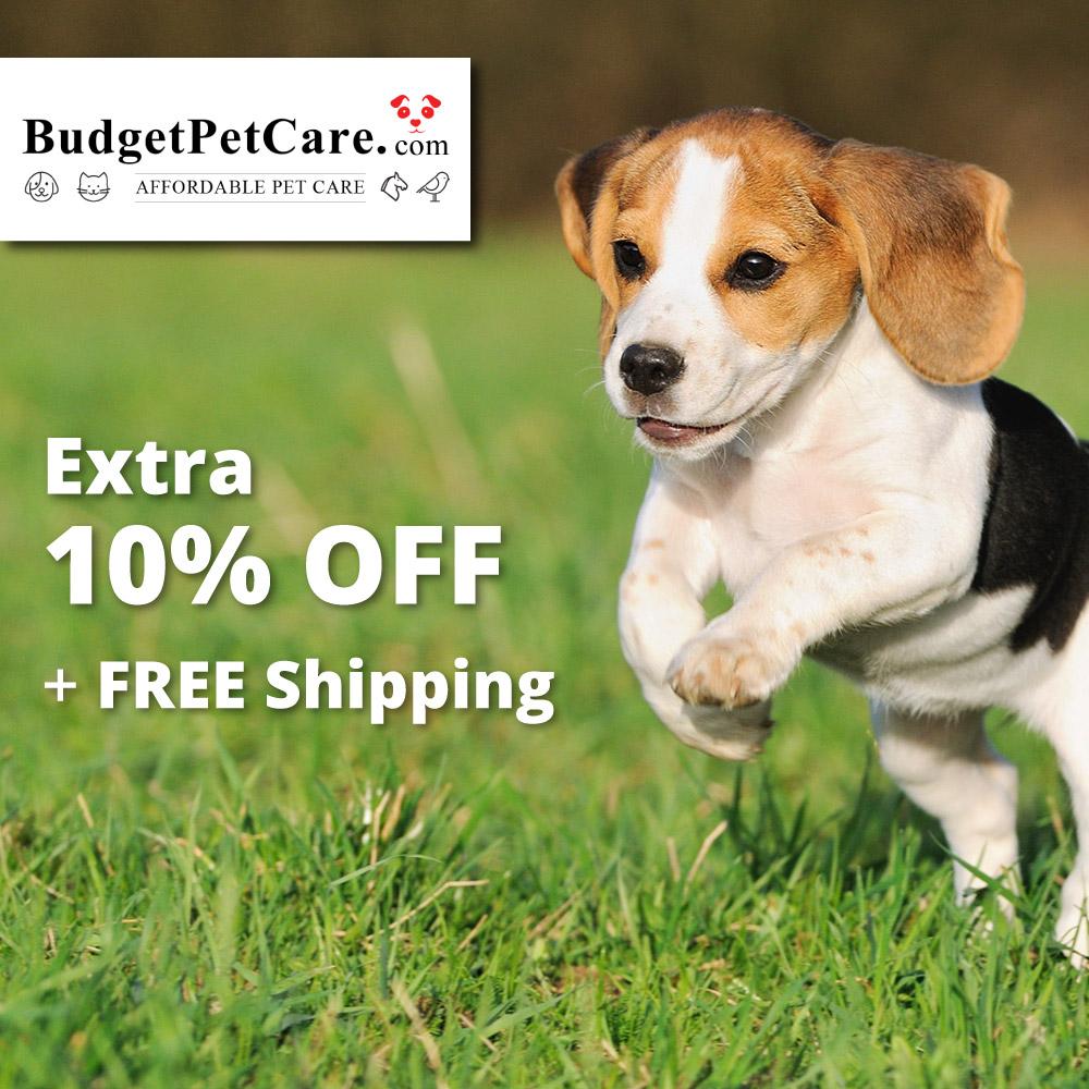 Budget Pet Care