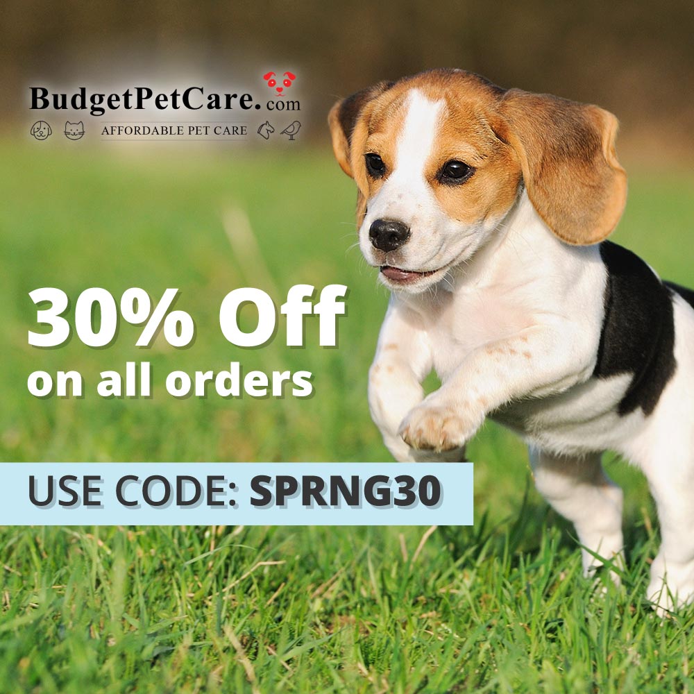 Budget Pet Care